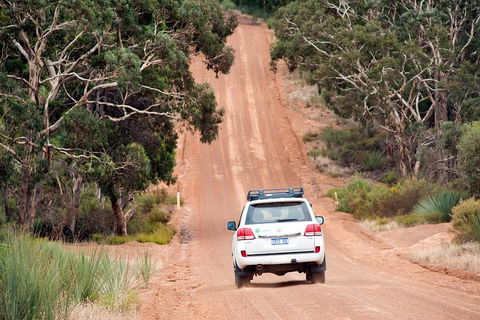 Small-Group Kangaroo Island 4WD Tour From Adelaide - Tourism Brisbane 3
