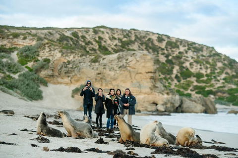 Small-Group Kangaroo Island 4WD Tour From Adelaide - Tourism Brisbane 4