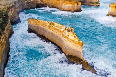 Small-Group Great Ocean Road Day Trip From Melbourne - Tourism Brisbane 2