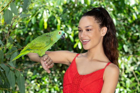 Kuranda Wildlife Experience Three Attraction Pass - Tourism Brisbane 1