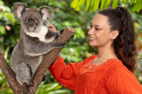 Kuranda Wildlife Experience Three Attraction Pass - Tourism Brisbane 4