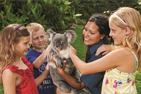Kuranda Koala Gardens General Entry Ticket - Tourism Brisbane 0