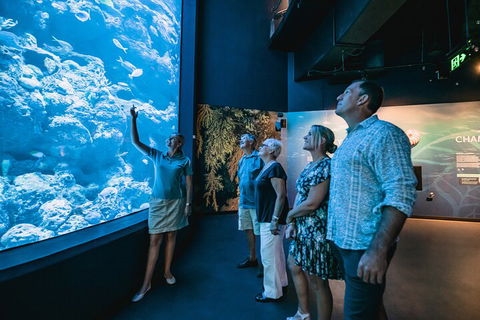 Cairns Aquarium By Twilight With 3-Course Dinner - Tourism Brisbane 1