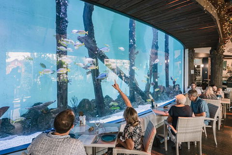 Cairns Aquarium By Twilight With 3-Course Dinner - Tourism Brisbane 4