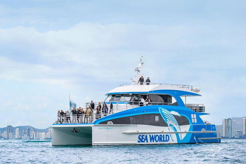 Whale Watching By Sea World Cruises - Tourism Brisbane 3