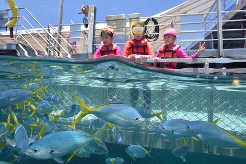 Outer Reef Pontoon Experience From Cairns - Tourism Brisbane 0