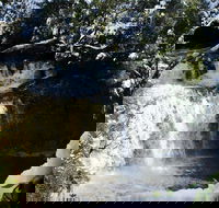 Cradle Mountain Day Tour from Launceston Including Lunch - Brisbane Tourism