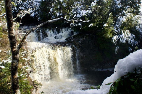 Cradle Mountain Day Tour From Launceston Including Lunch - Brisbane Tourism 0
