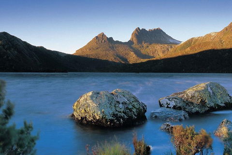 Cradle Mountain Day Tour From Launceston Including Lunch - Brisbane Tourism 2