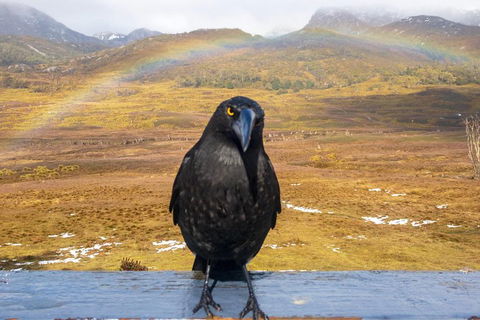Cradle Mountain Park Explorer Guided Tour - Tourism Brisbane 2