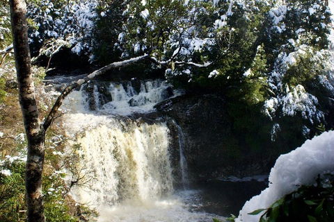 Cradle Mountain Park Explorer Guided Tour - Tourism Brisbane 4