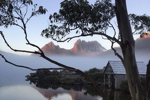 Cradle Mountain Park Explorer Guided Tour - Tourism Brisbane 5