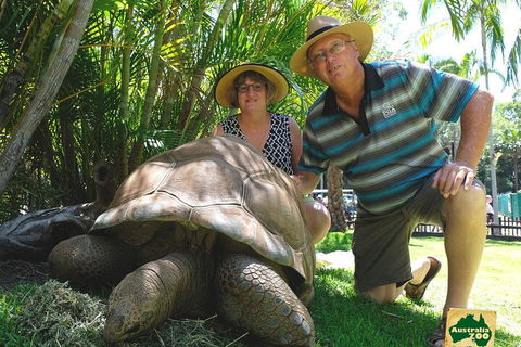 Small-Group Australia Zoo Day Trip From Brisbane - Tourism Brisbane 1