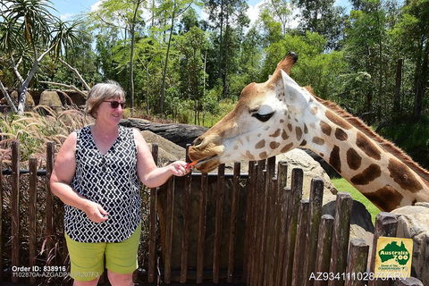 Small-Group Australia Zoo Day Trip From Brisbane - Tourism Brisbane 2