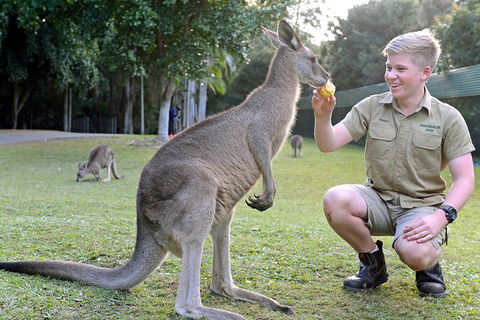Small-Group Australia Zoo Day Trip From Brisbane - Tourism Brisbane 4