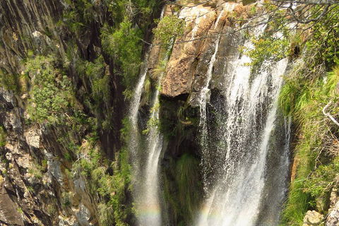 Beyond Byron Hinterland Tour - Tourism Brisbane 5