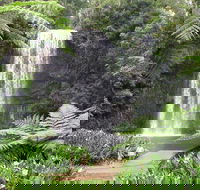 Private Daintree and Cape Tribulation Tour from Port Douglas - Tourism Brisbane