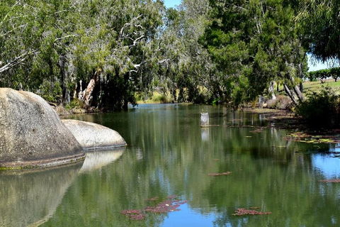 Private Daintree And Cape Tribulation Tour From Port Douglas - Tourism Brisbane 3
