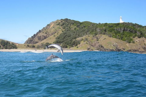 Kayaking With Dolphins In Byron Bay Guided Tour - Tourism Brisbane 0