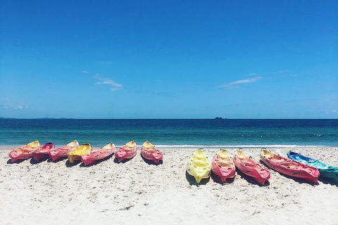 Kayaking With Dolphins In Byron Bay Guided Tour - Tourism Brisbane 1