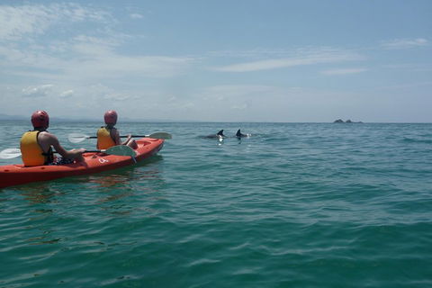 Kayaking With Dolphins In Byron Bay Guided Tour - Tourism Brisbane 4