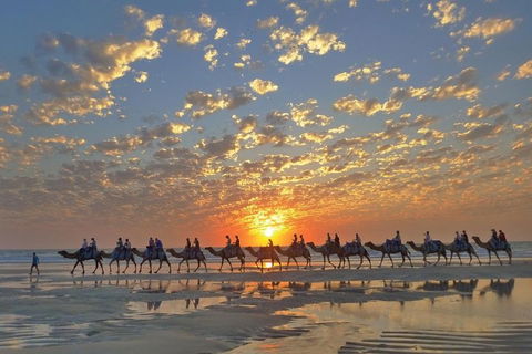 Broome City Sightseeing Tour With Optional Camel Ride - Tourism Brisbane 1