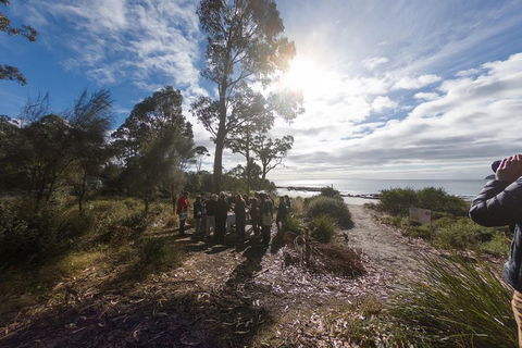 Bruny Island Day Tour, Includes Lunch And Exclusive Lighthouse Tour - Tourism Brisbane 5