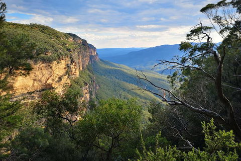 Blue Mountains Day Tour With Wildlife At Sunset From Sydney - Tourism Brisbane 5