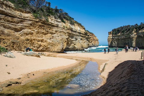 Great Ocean Road And 12 Apostles Day Trip From Melbourne - Tourism Brisbane 2