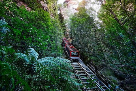 Blue Mountains Private Tour With Kangaroos & Koala Encounter - Tourism Brisbane 1