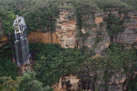 Blue Mountains Private Tour With Kangaroos & Koala Encounter - Tourism Brisbane 2