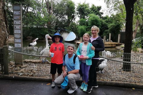 Blue Mountains Private Tour With Kangaroos & Koala Encounter - Tourism Brisbane 4