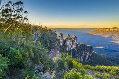 Blue Mountains Private Tour With Kangaroos & Koala Encounter - Tourism Brisbane 5