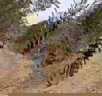 Mount Lofty Descent Bike Tour from Adelaide - Tourism Brisbane