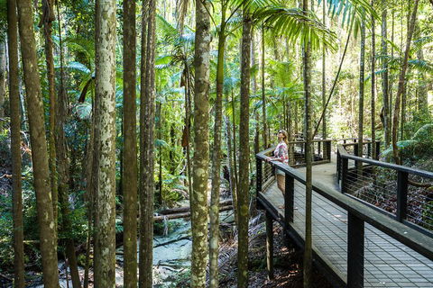 All-Inclusive Fraser Island Day Tour - Tourism Brisbane 5