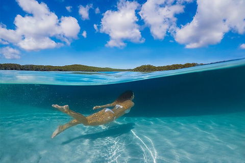 Lake McKenzie Full-Day Tour With Lunch From Hervey Bay - Tourism Brisbane 5