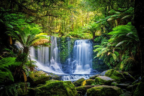 Day Tour In Mt. Field, Mt. Wellington, Bonorong Wildlife Sanctuary And Richmond - Tourism Brisbane 0