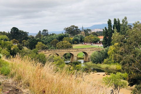 Day Tour In Mt. Field, Mt. Wellington, Bonorong Wildlife Sanctuary And Richmond - Tourism Brisbane 3