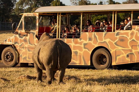 Sunset Safari At Werribee Open Range Zoo - Tourism Brisbane 5