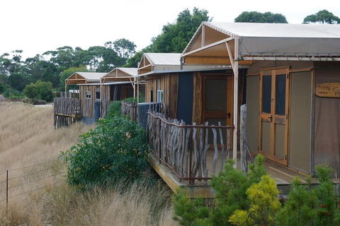 Slumber Safari At Werribee Open Range Zoo - Tourism Brisbane 4