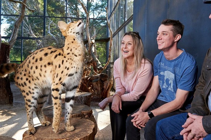 Tourism Brisbane