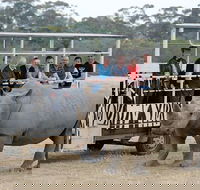 Off-Road Safari at Werribee Open Range Zoo - Tourism Brisbane