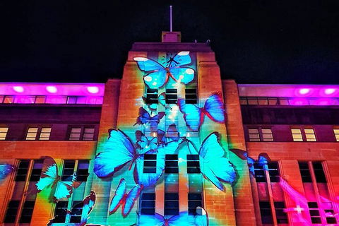 Vivid 90-Minute Sydney Harbour Small Group Catamaran Cruise - Tourism Brisbane 0