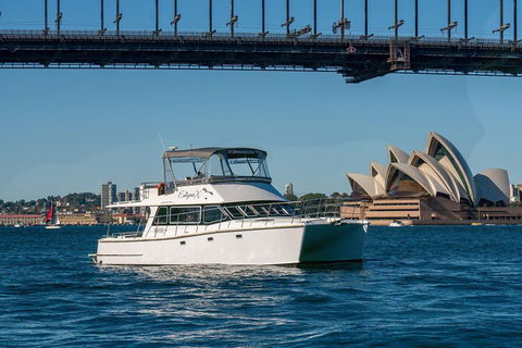 Vivid 90-Minute Sydney Harbour Small Group Catamaran Cruise - Tourism Brisbane 2