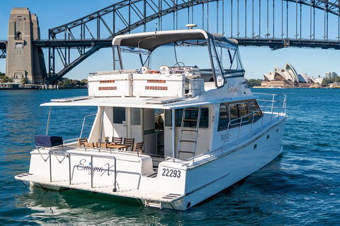 Vivid 90-Minute Sydney Harbour Small Group Catamaran Cruise - Tourism Brisbane 4