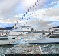 Vivid 90-Minute Sydney Harbour Catamaran Cruise with BYO Drinks - Tourism Brisbane