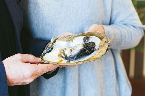 Half-Day Willie Creek Pearl Farm Tour With Helicopter Flight - Tourism Brisbane 3