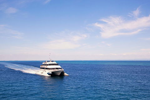 Tangalooma Island Resort Whale Watching Day Cruise - Tourism Brisbane 5