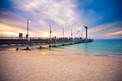 Tangalooma Island Resort Whale Watching Day Cruise With Dolphin Viewing - Tourism Brisbane 3
