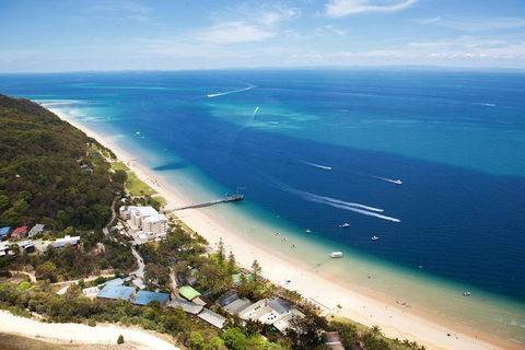 Tangalooma Island Resort Whale Watching Day Cruise With Dolphin Feeding - Tourism Brisbane 2
